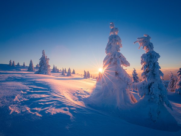 Velka Fatra, Велька Фатра, горы, деревья, ели, закат, зима, лучи, пейзаж, природа, склон, Словакия, снег, солнце