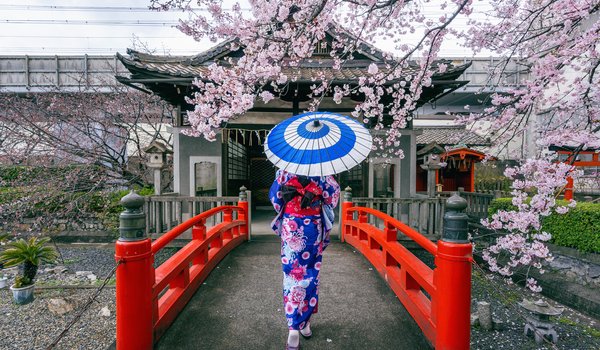Обои на рабочий стол: asian, blossom, bridge, cherry, japan, kimono, sakura, spring, umbrella, woman, весна, вишня, зонт, кимоно, мост, сакура, цветение, япония, японка