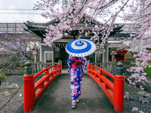 asian, blossom, bridge, cherry, japan, kimono, sakura, spring, umbrella, woman, весна, вишня, зонт, кимоно, мост, сакура, цветение, япония, японка