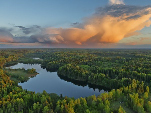 Владимир Рябков, Гостилицкое озеро, закат, леса, небо, облака, пейзаж, природа