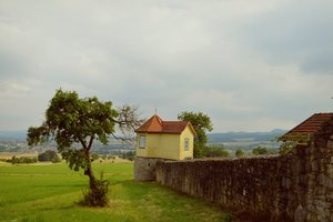 Обои на рабочий стол: landscape, tree, wall