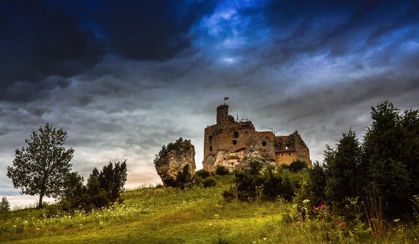 Обои на рабочий стол: Amazing Castle, Gmina Niegowa, Mirów, Silesia, Wildness of roses