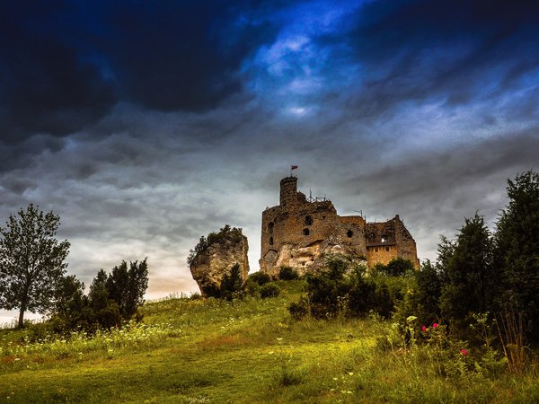 Amazing Castle, Gmina Niegowa, Mirów, Silesia, Wildness of roses