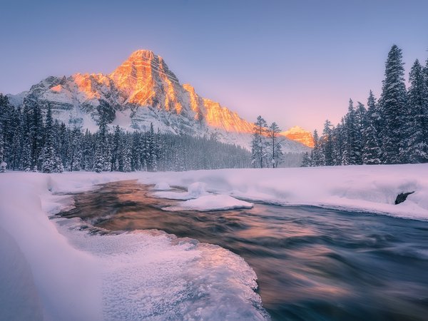 Alberta, Canadian Rockies, Jasper National Park, winter