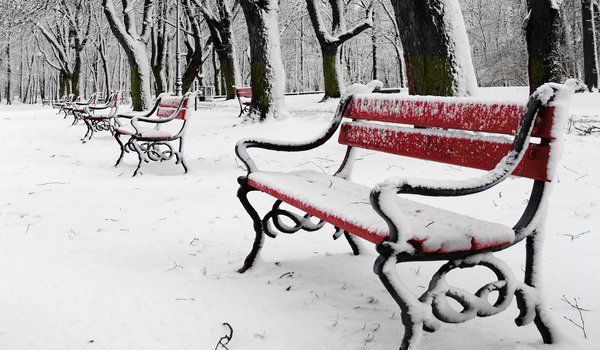 Обои на рабочий стол: snow, winter, деревья, зимний пейзаж, парк, скамейка