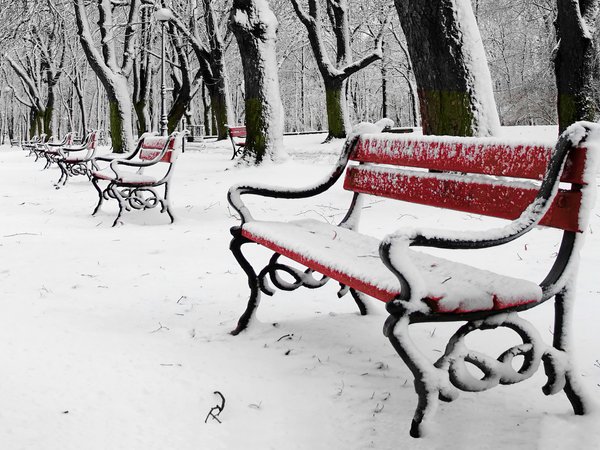 snow, winter, деревья, зимний пейзаж, парк, скамейка