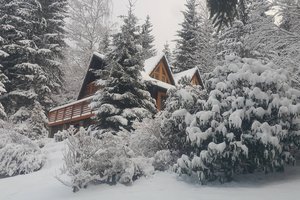 Обои на рабочий стол: nature, snow, Snow trees, winter, Winter house, зима, Зимний дом, природа, снег, Снежные деревья