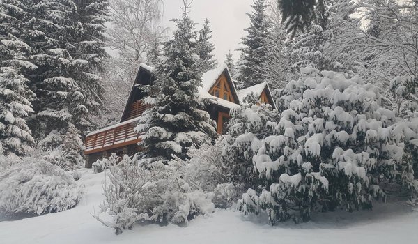 Обои на рабочий стол: nature, snow, Snow trees, winter, Winter house, зима, Зимний дом, природа, снег, Снежные деревья