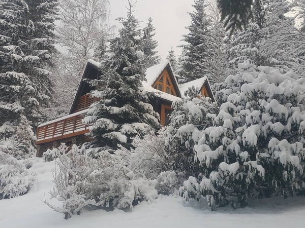 nature, snow, Snow trees, winter, Winter house, зима, Зимний дом, природа, снег, Снежные деревья