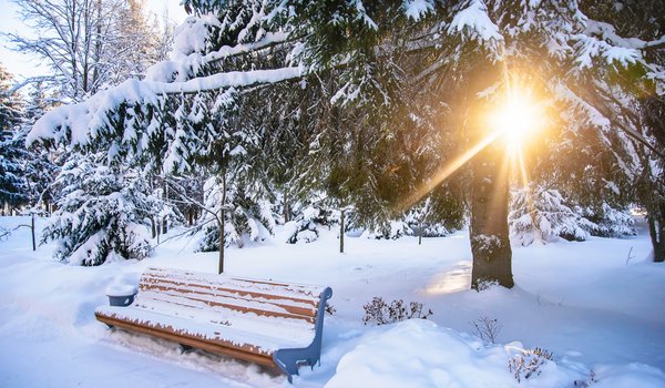 Обои на рабочий стол: bench, landscape, park, snow, tree, white, winter, зима, парк, скамейка, снег