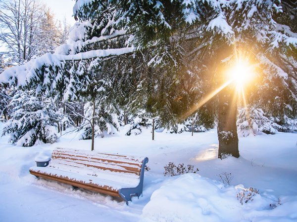 bench, landscape, park, snow, tree, white, winter, зима, парк, скамейка, снег