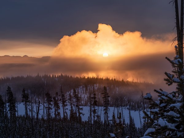 Yellowstone National Park, зима, туман, утро