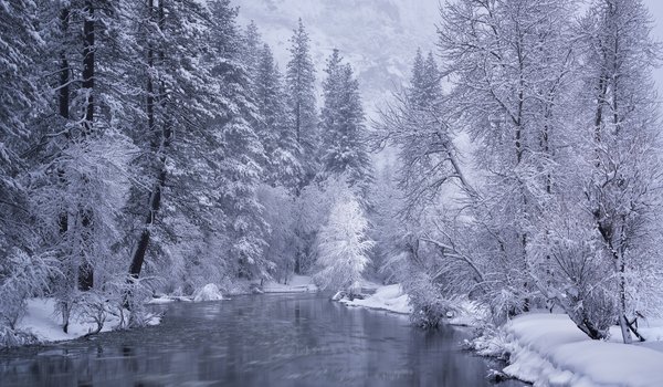 Обои на рабочий стол: california, Merced River, Yosemite National Park, деревья, зима, калифорния, лес, Национальный парк Йосемите, река, Река Мерсед, снег