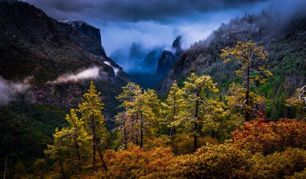 Обои на рабочий стол: california, Sierra Nevada, Yosemite National Park, горы, деревья, калифорния, Национальный парк Йосемити, Сьерра-Невада