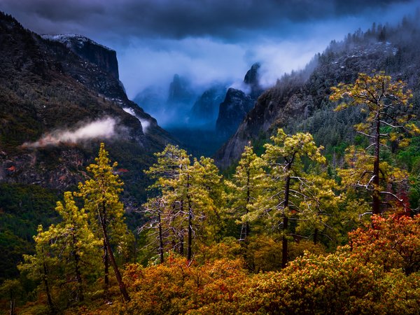 california, Sierra Nevada, Yosemite National Park, горы, деревья, калифорния, Национальный парк Йосемити, Сьерра-Невада
