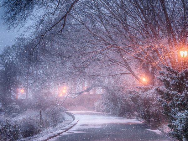 Yury Lugansky, деревья, дорожка, зима, парк, снег, фонари