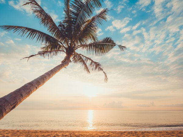 beach, beautiful, palms, paradise, sand, sea, seascape, summer, sunset, tropical, берег, волны, закат, лето, море, небо, пальмы, песок, пляж