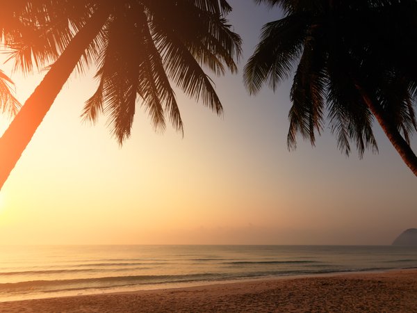 beach, beautiful, palms, paradise, sand, sea, seascape, summer, sunset, tropical, берег, волны, закат, лето, море, пальмы, песок, пляж