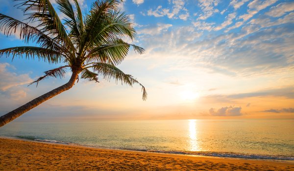 Обои на рабочий стол: beach, beautiful, palms, paradise, sand, sea, seascape, summer, sunset, tropical, берег, волны, закат, лето, море, пальмы, песок, пляж
