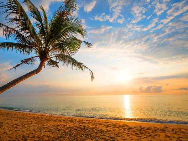 beach, beautiful, palms, paradise, sand, sea, seascape, summer, sunset, tropical, берег, волны, закат, лето, море, пальмы, песок, пляж