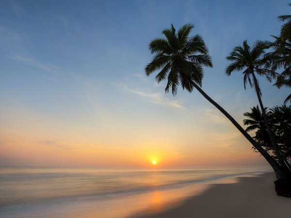 beach, beautiful, palms, paradise, sea, seascape, summer, sunset, tropical, берег, закат, лето, море, пальмы, пляж, силуэт