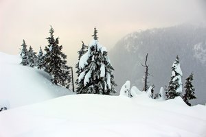 Обои на рабочий стол: горы, зима, снег, туман