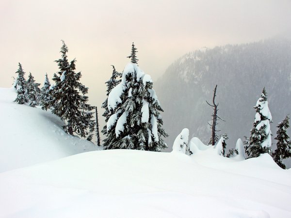 горы, зима, снег, туман