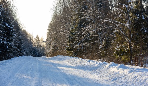 Обои на рабочий стол: дорога, закат, зима, зимнее, зимний лес, лес, мороз, природа, путь, снег, снежная дорога, солнечно, холодно, январь