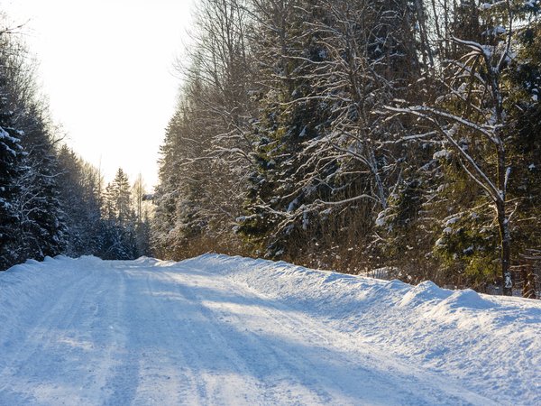 дорога, закат, зима, зимнее, зимний лес, лес, мороз, природа, путь, снег, снежная дорога, солнечно, холодно, январь
