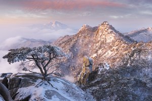 Обои на рабочий стол: jae youn Ryu, горы, деревья, заповедник, зима, корея, облака, пейзаж, природа, Пукхансан, рассвет, скалы, снег, сосны, туман, утро