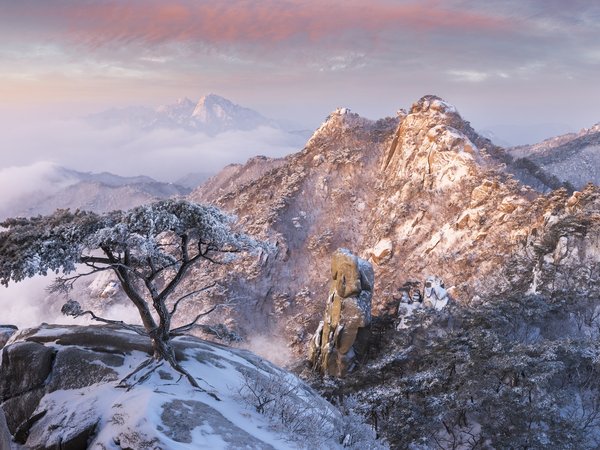 jae youn Ryu, горы, деревья, заповедник, зима, корея, облака, пейзаж, природа, Пукхансан, рассвет, скалы, снег, сосны, туман, утро