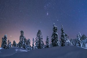 Обои на рабочий стол: деревья, звездное небо, звезды, зима, небо, снег, сугробы