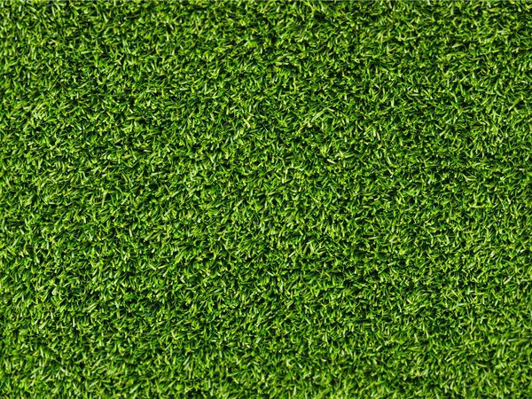зелень, картинки для рабочего стола, лето, макро фото, свежесть, трава, фоновые обои