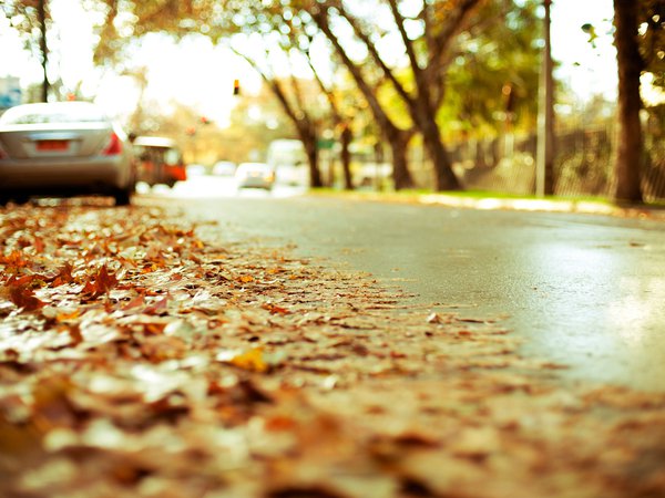 автомобили, асфальт, город, дорога, жёлтая, листва, осень, посадки, размытость, шоссе, эффект