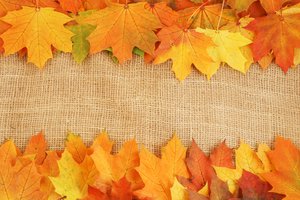 Обои на рабочий стол: листья, осень, прожилки, яркие краски