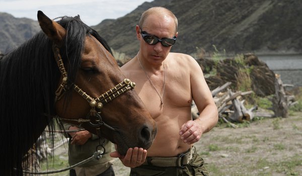 Обои на рабочий стол: владимир путин, горы, лошадь, обои, президент россии, премьер-министр россии, природа, путин