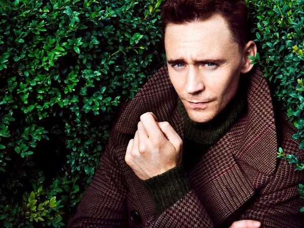Tom Hiddleston, актёр, зелень, кусты, мужчина, пальто, Том Хиддлстон