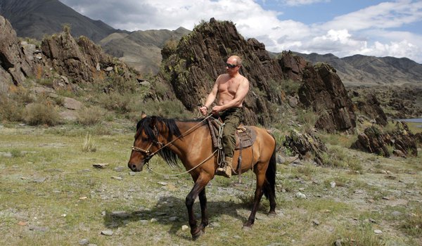 Обои на рабочий стол: владимир путин, горы, лошадь, обои, президент россии, премьер-министр россии, природа, путин