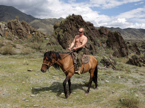 владимир путин, горы, лошадь, обои, президент россии, премьер-министр россии, природа, путин