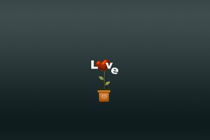 Обои на рабочий стол: love, горшочек, любовь, минимализм, растение ваза, сердечко, сердце, цветок, цветы