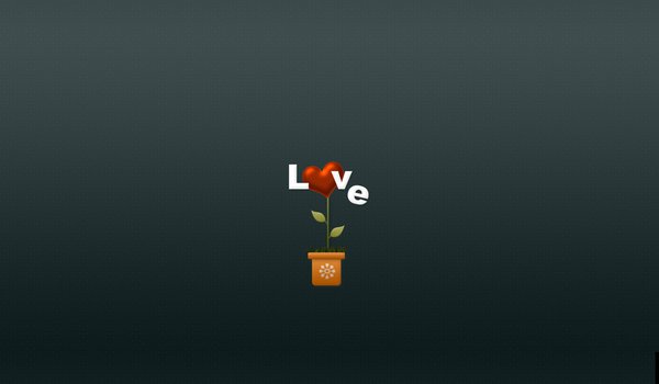 Обои на рабочий стол: love, горшочек, любовь, минимализм, растение ваза, сердечко, сердце, цветок, цветы
