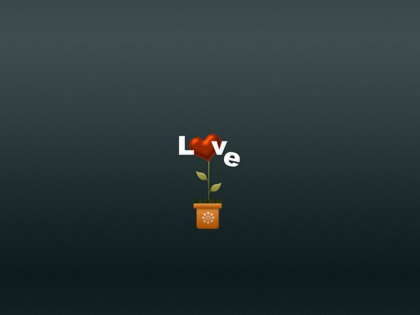 love, горшочек, любовь, минимализм, растение ваза, сердечко, сердце, цветок, цветы