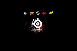 Обои на рабочий стол: EVIL GENIUSES, FNATIC, logo, navi, SK GAMING, steelseries, TYLOO, логотип, стилсериес