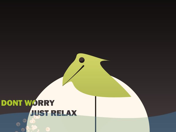 dont worry, just relax, вода, коричневый, птица, птичка