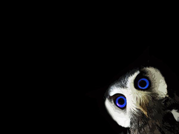 animals, black, black background, blue eyes, minimalism, owl