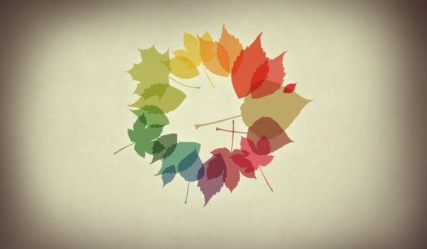 Обои на рабочий стол: листья, минимализм, обои, осенние обои, осень
