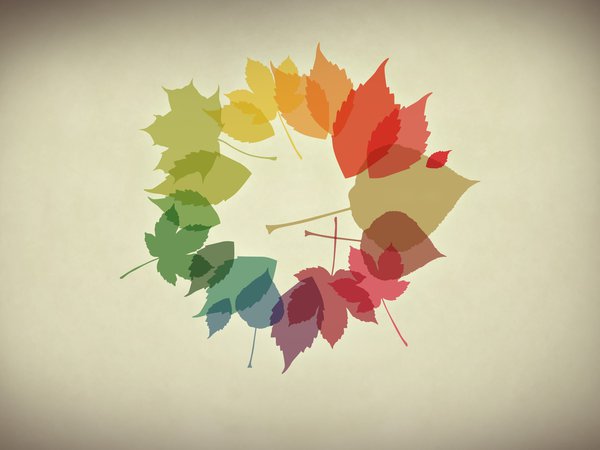 листья, минимализм, обои, осенние обои, осень