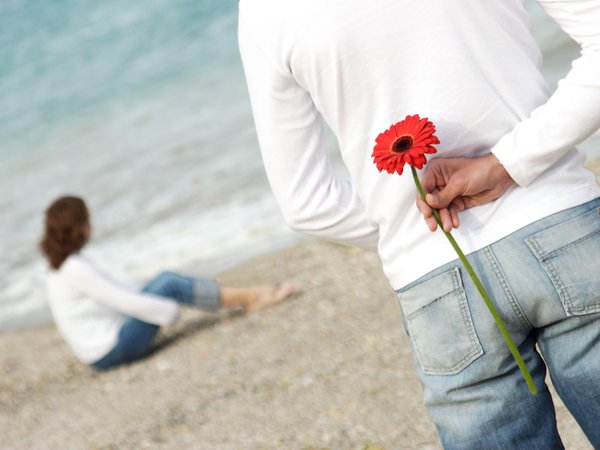любовь, пара, пляж, романтика, цветок