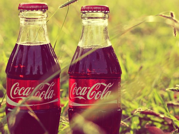 coca-cola, бутылки, кока-кола, трава, этикетка