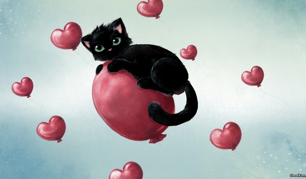 Обои на рабочий стол: воздушные, котенок, сердечки, черный, шарики